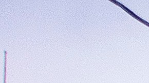 Las autoridades de Milwaukee creen que el tiroteo fue causado por una pelea entre los adolescentes.