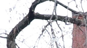 Universidad de Harvard