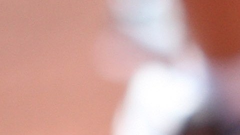 Uno de los perros asistentes muestra un Panda en honor al histórico 3B de San Francisco, Pablo Sandoval.