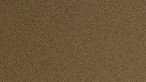 Hispano que se declaró culpable de participar en asalto al Capitolio podría ser sentenciado a 14 años en prisión