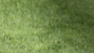 Sergio Agüero (L) comparte con Pep Guardiola (R) durante un encuentro en 2021.