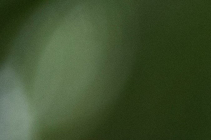 Legisladores demócratas piden al presidente Joe Biden que se expanda el programa DACA en EE.UU.