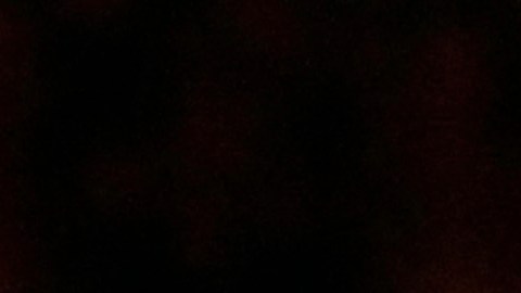 Maluma y Madonna en concierto.