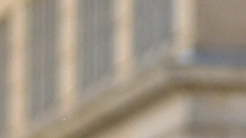 Los manifestantes criticaron que Biden tomase una decisión "cobarde y limitada".
