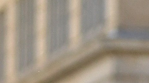 Los manifestantes criticaron que Biden tomase una decisión "cobarde y limitada".
