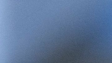 Miles de vacas podrían ser sacrificadas en Irlanda.