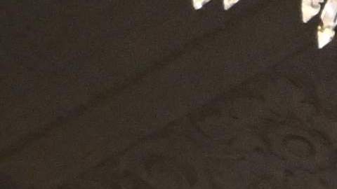 Jay Johnston está acusado de "interferir con los agentes del orden.