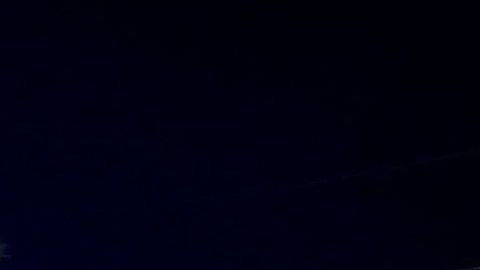 Sospechoso involucrado en tiroteo en festival musical de Washington le dijo a la policía que estaba drogado con hongos alucinógenos