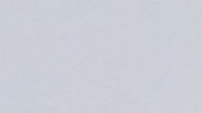 Adele quiere compartir la propiedad en una gran mansión a su gusto.