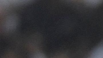 El delantero portugués fue el responsable por la posible llegada de Luis Castro.