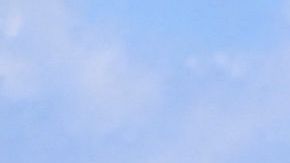 Trabajadores agrícolas en Florida