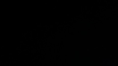 Sospechoso arrestado luego de tiroteo que deja 3 hispanos muertos en Maryland