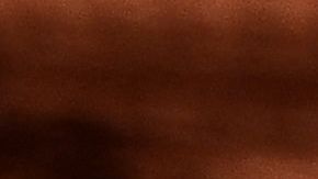 Juan Pablo Varillas junto a Novak Djokovic en los octavos de Roland Garros.