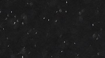 Xavi Hernández y Andrés Iniesta abrazándose.