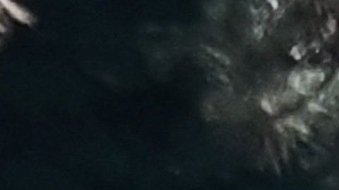 Un hombre apuñaló al menos a 4 niños en un parque francés.