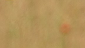 Youssoufa Moukoko en un entrenamiento con la selección en el DFB-Campus el pasado 10 de junio.