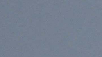 El 61 % de los estadounidenses apoya la idea de desplegar el ejército.