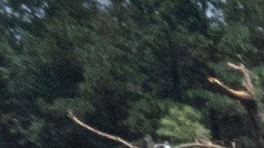 Tornado