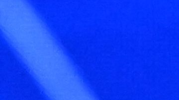 Según Biden, el globo "fue desviado de su ruta por el viento" cuando sobrevolaba Alaska y Xi no sabía hasta que fue derribado.