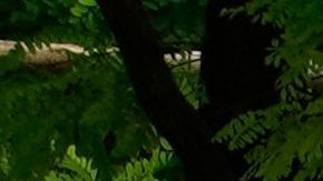 Un vehículo militar del Grupo Wagner.