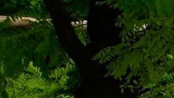 Un vehículo militar del Grupo Wagner.