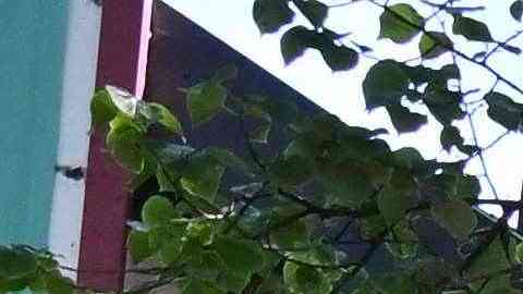 Los cuerpos de emergencia llegan al parque de diversiones en Estocolmo.