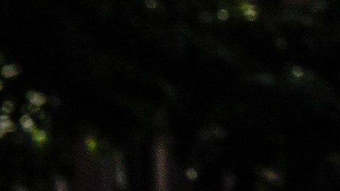 El hecho se desarrolló cuando las autoridades estaban en alerta máxima por informes de agresiones.