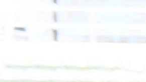 Tigres de la UANL celebra el título que consiguió ante Pachuca.