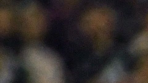 El delantero se mostró enfocado en seguir apoyando al equipo en la Copa Oro.