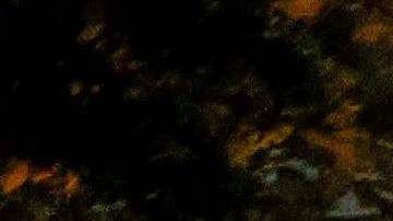 Imágenes de los disturbios en Francia tras la muerte de un joven.