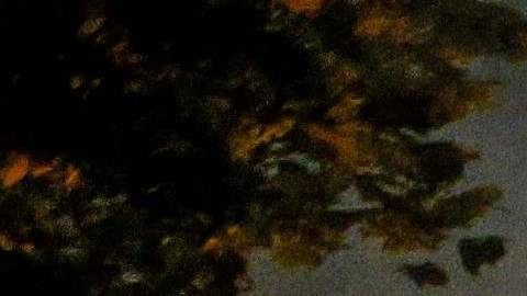 Imágenes de los disturbios en Francia tras la muerte de un joven.