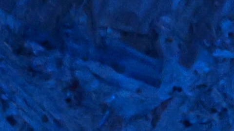 Compositor musical de Atlanta fue condenado a cadena perpetua por asesinar a su novia