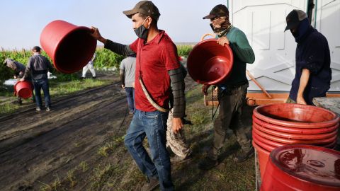 Trabajadores agrícolas en Florida