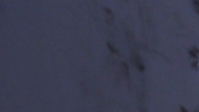 Se estima que el 42% de los trabajadores agrícolas de Florida son indocumentados.