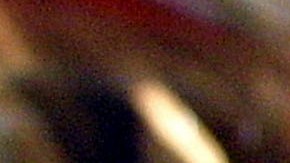 "The Iron Sheik" fotografiado en la Comic Book, Art, and Toy Show en 2001