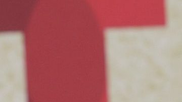 Natti Natasha expresa siempre su amor por Raphy Pina.