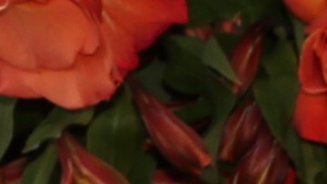 Raúl de Molina disfruta de unas nuevas vacaciones.