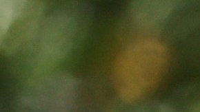 El gobernador de California, Gavin Newsom, investigará traslado de migrantes: "DeSantis tiene que asumir su responsabilidad"