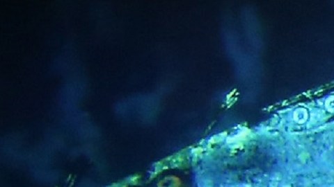 La empresa OceanGate Expeditions organiza viajes a los restos del Titanic.