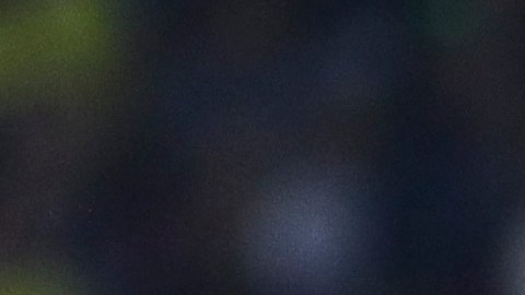 Chivas y América disputan un encuentro del Torneo Apertura 2022.