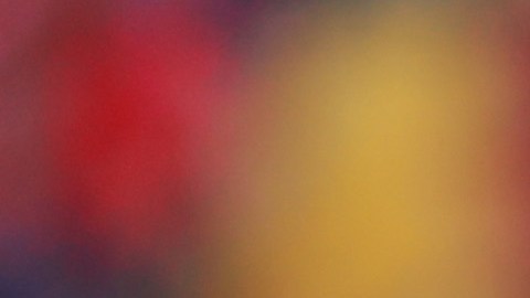 El estratega regresa a los banquillos luego de un semestre de retiro.