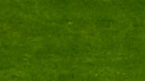 Jim Turner fue pieza fundamental en el único campeonato de la NFL que el equipo de New York ha ganado en su historia.