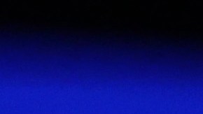 Un hombre fue arrestado cerca de la casa de Obama en D.C.: tenía múltiples armas de fuego