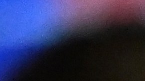 Tucker Carlson, expresentador de Fox News.