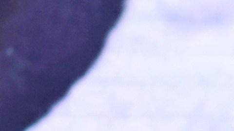 Tenoch Huerta
