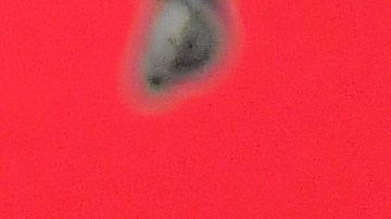 Tom Brady indicó que disfruta ver el fútbol americano desde afuera.