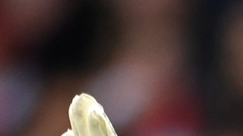 Keylor Navas sigue afectado afectado por la lesión.