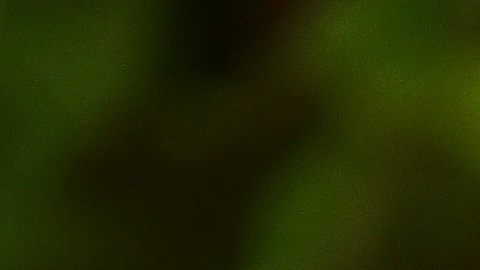 En el desayuno se recomienda sustituir el jugo por la fruta para evitar consumir más azúcar.