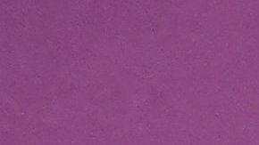 Eiza González, reconocida actriz de origen mexicano.