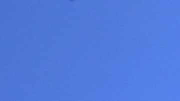 ¿Podría Donald Trump "perdonarse a sí mismo" sus delitos federales si es reelecto presidente? Eso piensa el candidato presidencial Asa Hutchinson